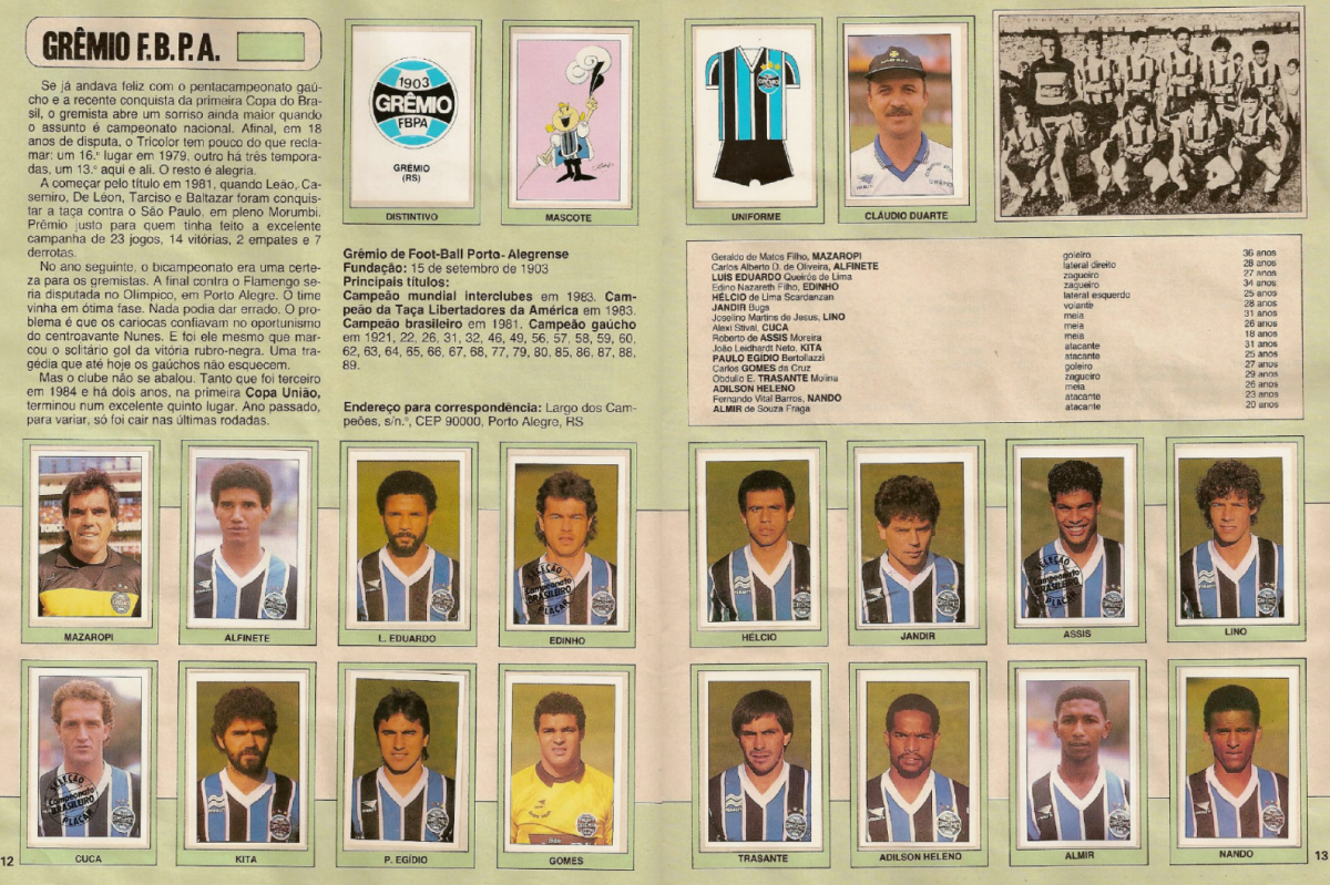 Álbuns e Figurinhas Campeonato Brasileiro 1989